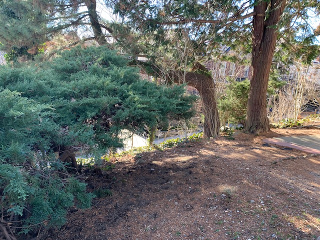 The Garden Apartment 2